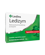 Ledins Ledins | Ledizym
