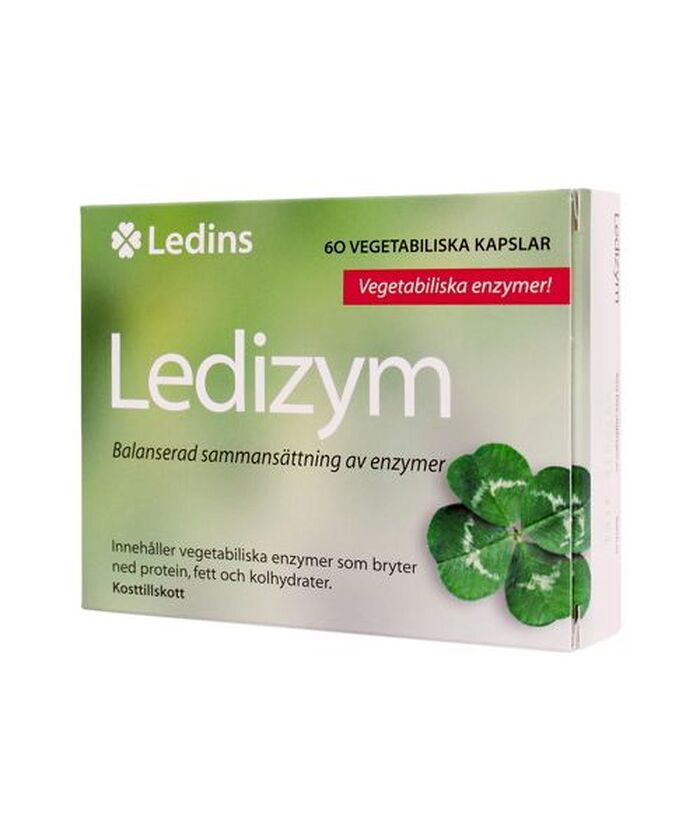 Ledins Ledins | Ledizym