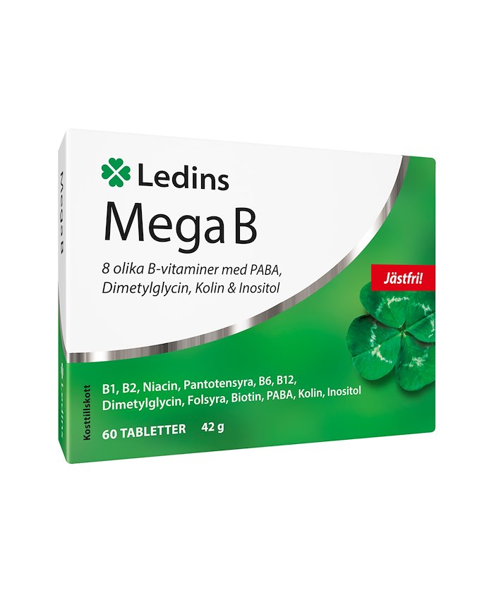 Ledins Ledins | Mega B