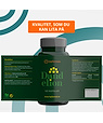 Topformula KORT DATUM | Topformula | Dandelion | Maskrosextrakt | 60 kapslar