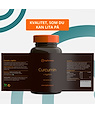 Topformula Topformula | Curcumin + Ingefära | 100 kapslar